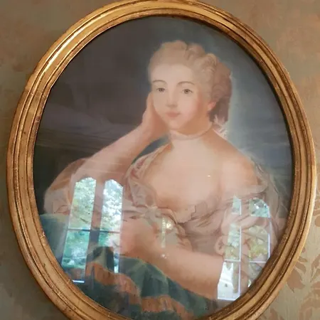 Le Manoir Du Thouron 招待所